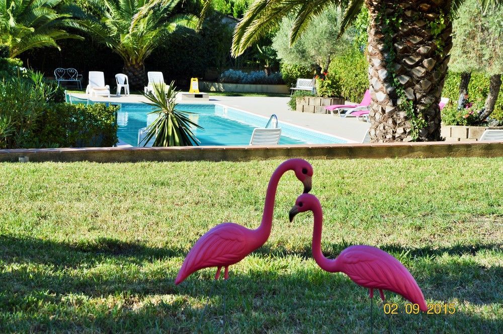 Villa Les 4 Saisons Saint Tropez Extérieur photo